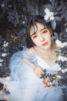 一起来看流星雨