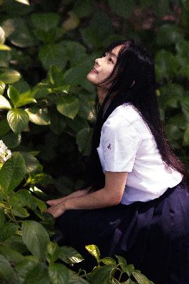 惜花芷电视剧免费观看完整版