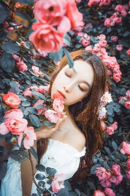 小巷人家 电视剧