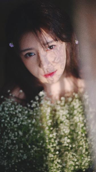 大明风华 电视剧