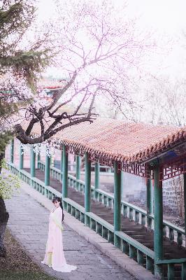 飘飘欲仙狼太郎