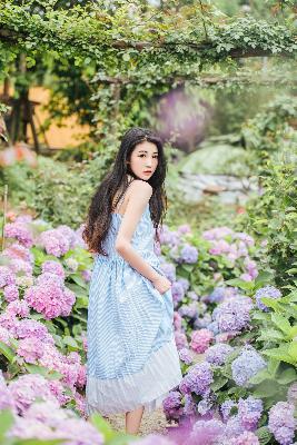 国产在线观看免费全集电视剧国语版