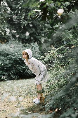 野兽们的战争在线观看免费版